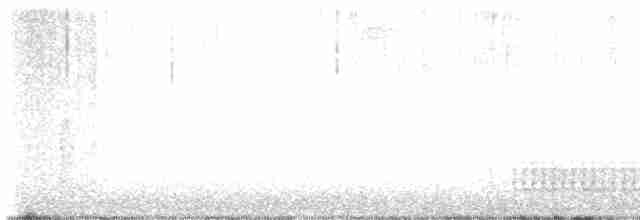 strakapoud americký - ML616112369