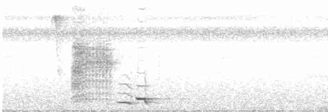Kara Karınlı Çıtkuşu - ML616114582