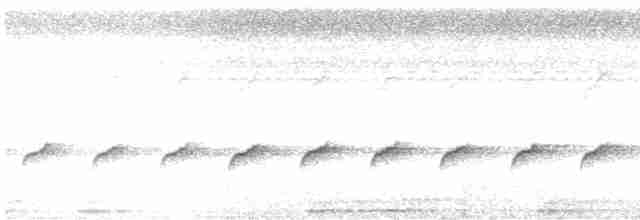 Palicour de Cayenne (stictoptera) - ML616114711