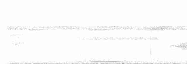 Голубок колумбійський (підвид linearis) - ML616115724