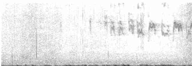 Pine Warbler - ML616116163