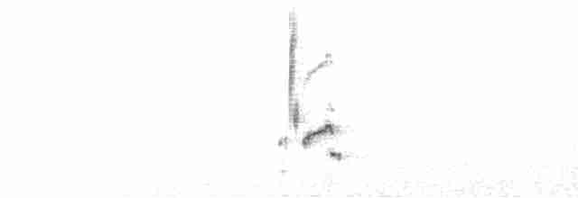 Loggerhead Shrike - ML616116291