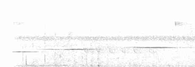 Каштановогрудый крапивник - ML616119432