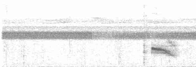 svarthakemaurvarsler - ML616120110