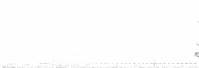 Dalgalı Yerçavuşu - ML616121166