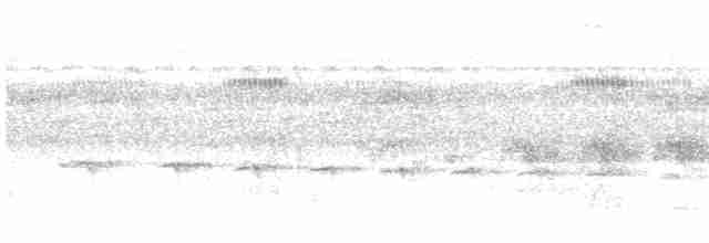 Мурав’янка-прудкокрил жовтоброва - ML616122352