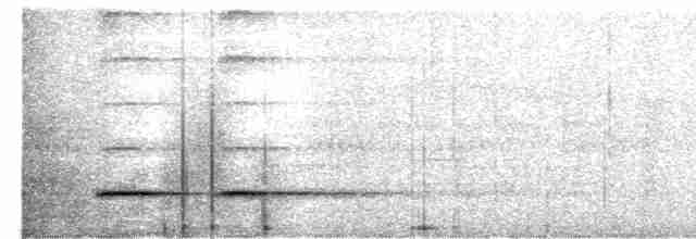 Rostbrust-Ameisendrossel - ML616123059
