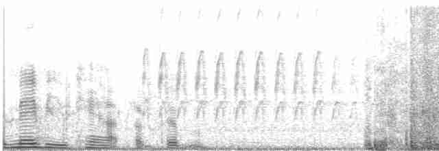 strakapoud kalifornský x proužkohřbetý (hybrid) - ML616123793