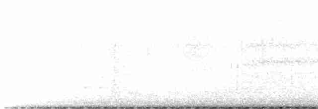magellandykkpetrell - ML616124707
