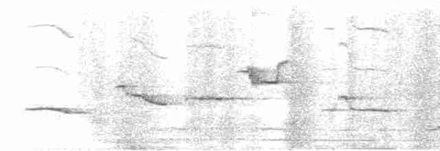 白斑紫嘯鶇 - ML616126636