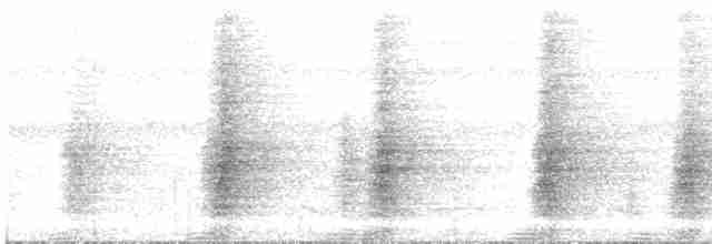 gråvingetrompetfugl - ML616129865