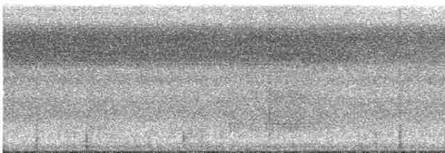 Равнинная мирмотера - ML616129902
