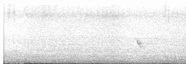Чубак сірий - ML616130216