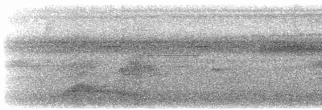 Pauraquenachtschwalbe - ML616131575