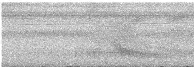 Gri Tepeli Karıncakuşu - ML616132352