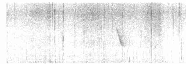 Елепайо гавайський (підвид ridgwayi) - ML616132629