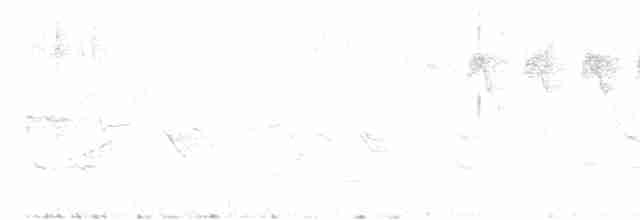 Hawaii-Sichelkleidervogel - ML616133416