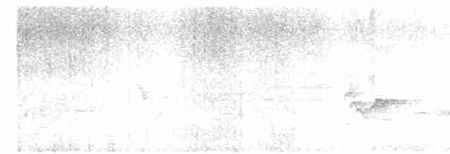 Hawaii-Sichelkleidervogel - ML616133467