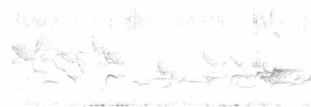 Hawaii-Sichelkleidervogel - ML616133537