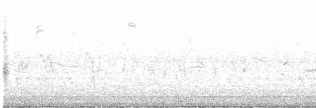 Green-tailed Towhee - ML616133703