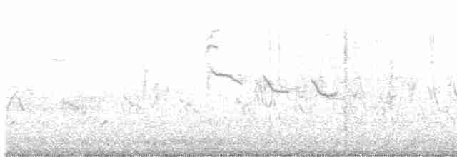 Green-tailed Towhee - ML616133704