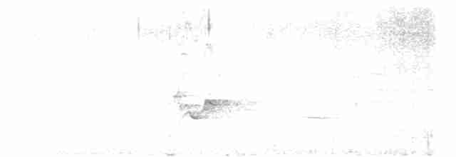Hawaii-Sichelkleidervogel - ML616133736