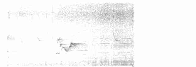 Hawaii-Sichelkleidervogel - ML616133779