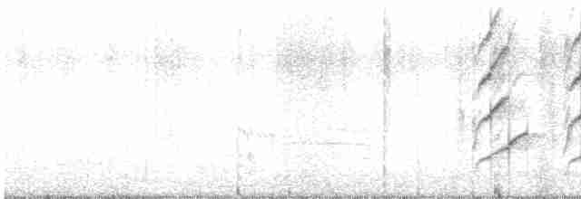 Büyük Kuyruklu Kiskal - ML616134025