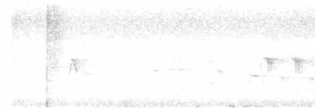 Hawaii-Sichelkleidervogel - ML616134069