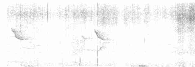 Apapanekleidervogel - ML616134241