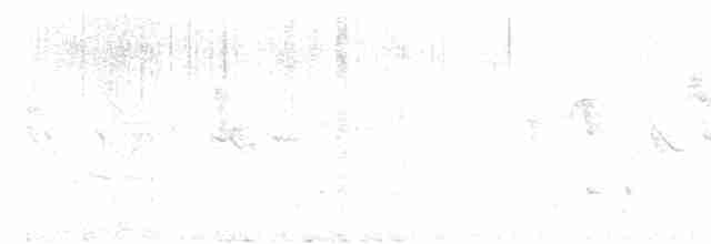 Малиновая апапане - ML616134375