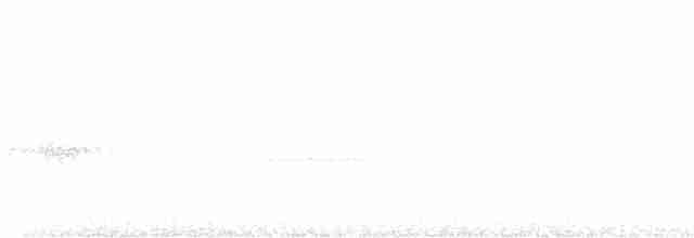 Eufonia Ventrinaranja - ML616134651