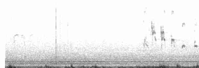 Weißkopf-Seeadler - ML616135598