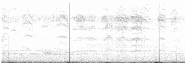 aratinga černohlavý - ML616136353