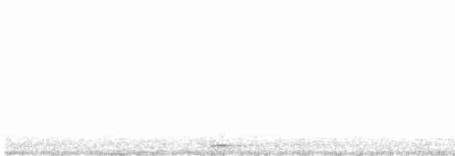 Сова плямиста - ML616136561