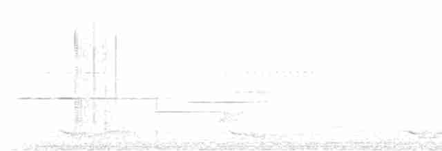 カザリキヌバネドリ - ML616138201