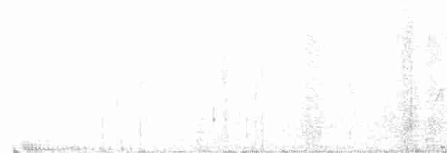 Chouette fasciée - ML616138811