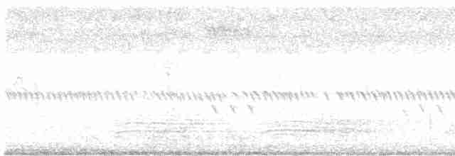 Streifenpanthervogel - ML616139410