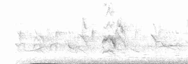 דררה אלכסנדרית (פליטת שבי) - ML616139521