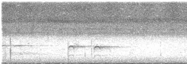 Torresian Kingfisher - ML616140399