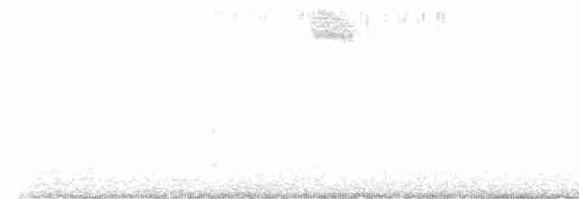 Алленов колибри - ML616140457