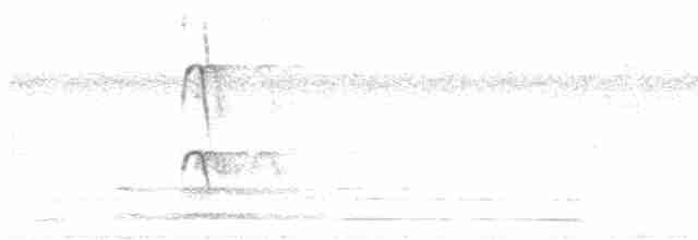 Ak Tepeli Kızkuşu - ML616143584