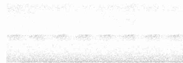 Сичик-горобець азійський - ML616143631