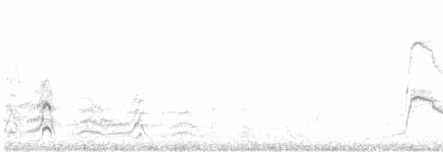 赤頸鴨 - ML616143653