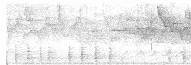 blåplystretrost (flavirostris gr.) - ML616143661