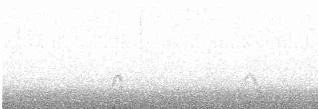赤頸鴨 - ML616143671