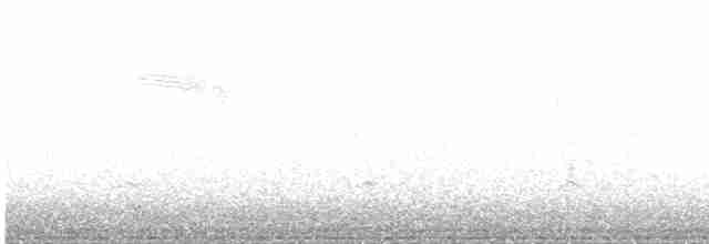 Green-winged Teal (Eurasian) - ML616143674