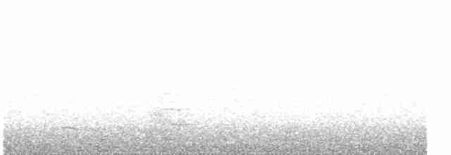 Чапля сіра (підвид cinerea/jouyi) - ML616143926
