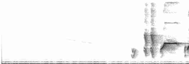 Büyük Yer Bülbülü - ML616145673