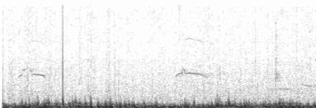Eurasian Oystercatcher - ML616145746